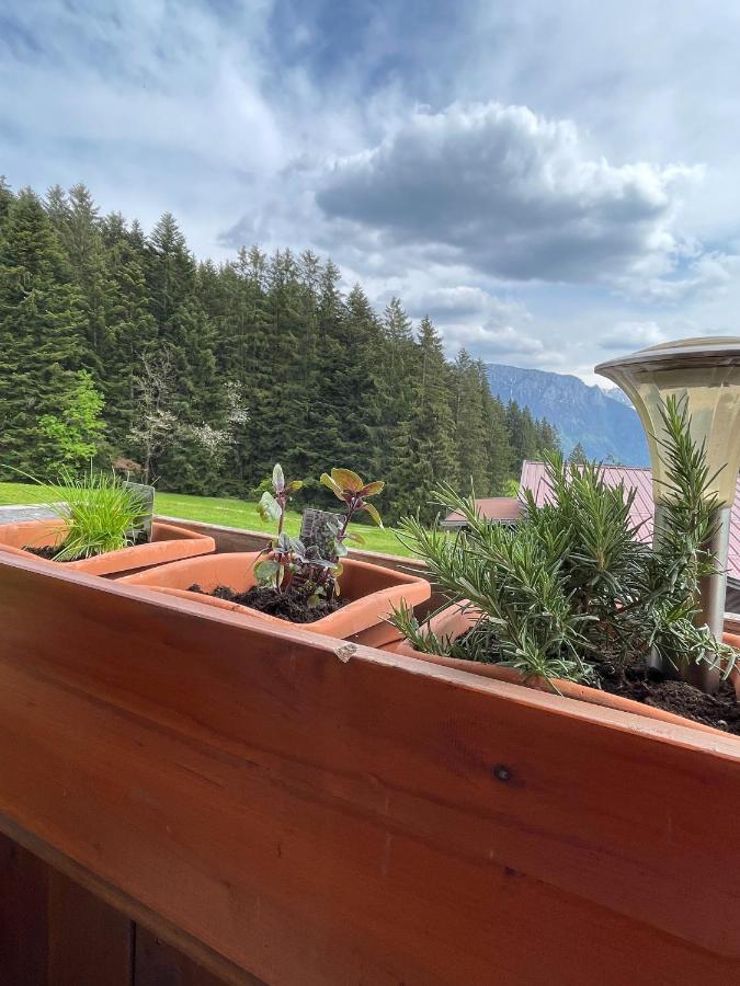 Ferienhaus Praschberg Niederndorferberg Zewnętrze zdjęcie